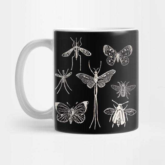 Moths & Butterflies & Insects & Dragonfly by zeljkica